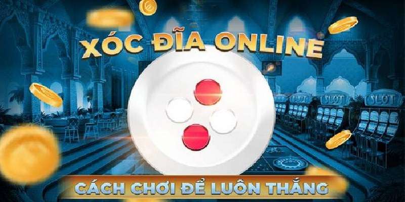 Chơi xóc đĩa chỉ đặt cược vào một cửa cao nhất