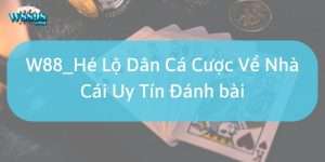 Tại sao nên lựa chọn nhà cái uy tín đánh bài trực tuyến?