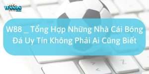 Những lý do cần chọn những nhà cái bóng đá uy tín