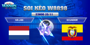 W88_Hà Lan Vs Ecuador, Nhận Định World Cup 2022