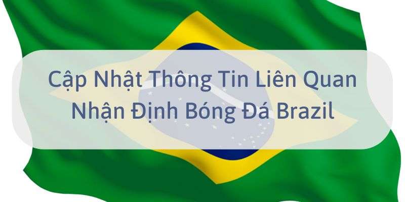 W88_Cập Nhật Thông Tin Liên Quan Nhận Định Bóng Đá Brazil