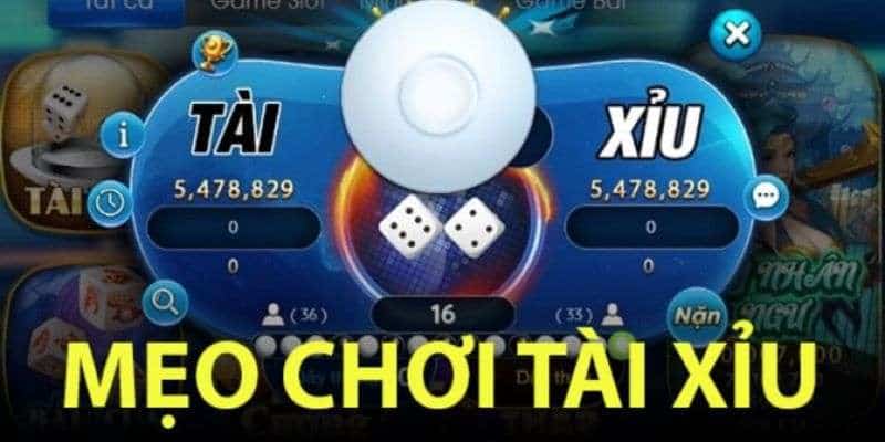 W88_Hướng Dẫn Chơi Tài Xỉu Chi Tiết Nhất Cho Người Mới