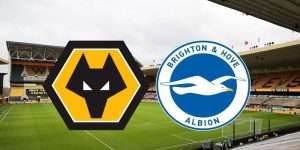 Wolves vs Brighton