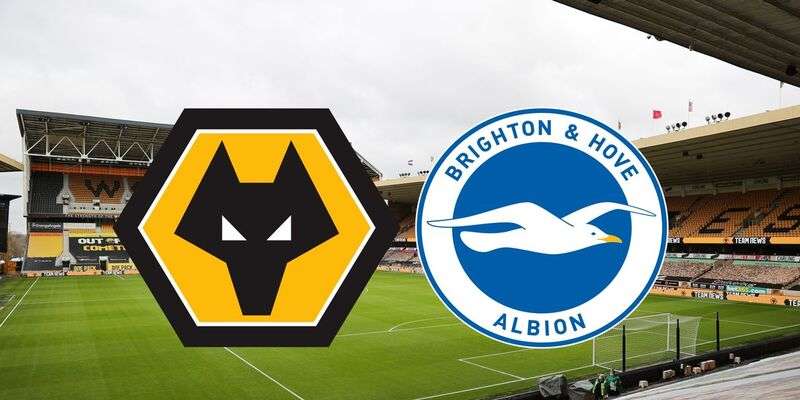 Wolves vs Brighton