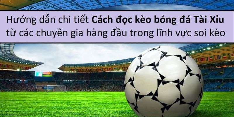 Hướng dẫn cách bắt kèo tài xỉu cực hay