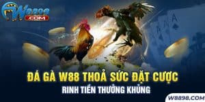 Đá Gà W88 Thoả Sức Đặt Cược Rinh Tiền Thưởng Khủng