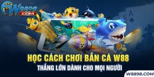 Học Cách Chơi Bắn Cá W88 Thắng Lớn Dành Cho Mọi Người